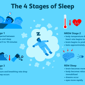 What Happens During Sleep?